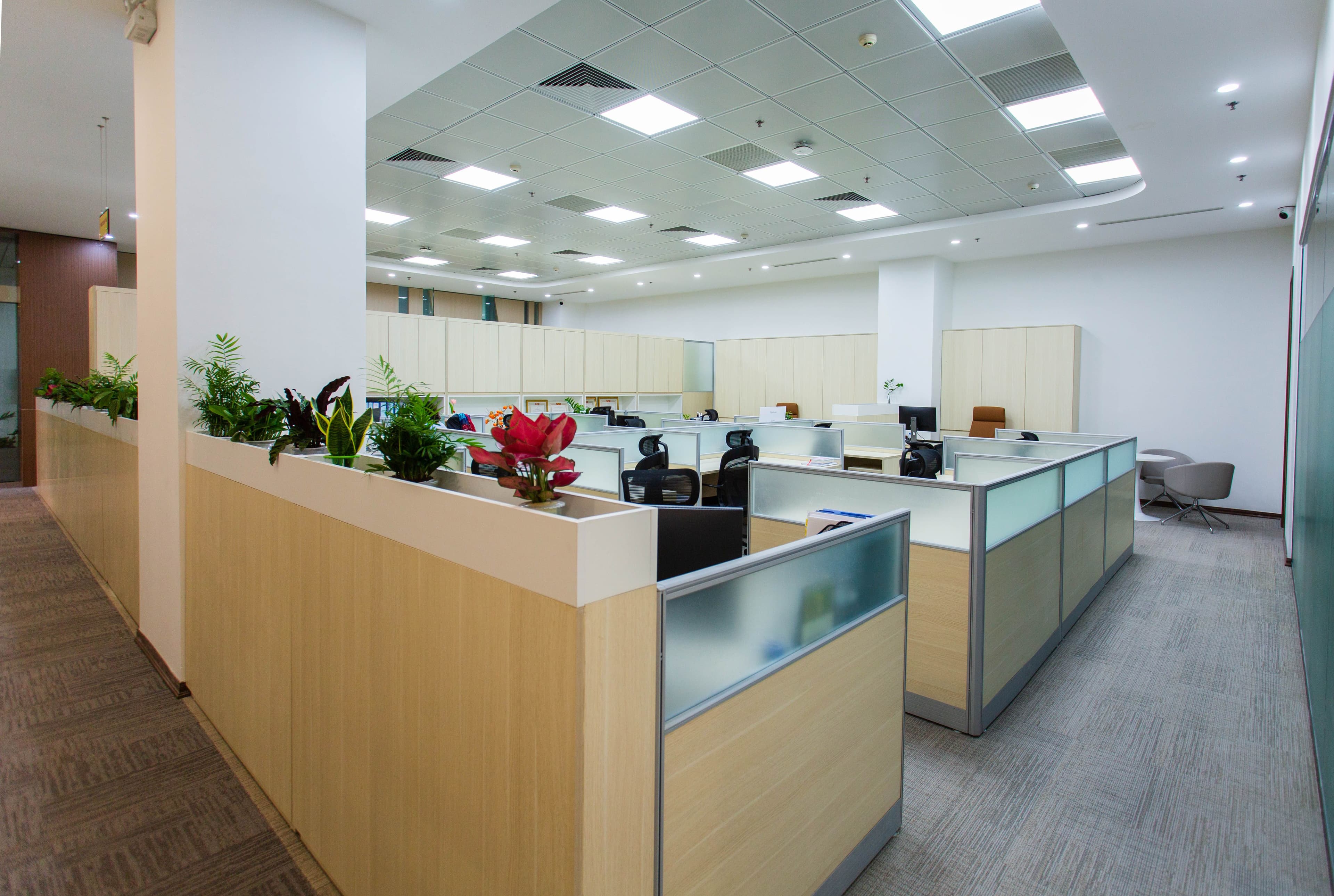 OFOMART studio workspace with collaborative desks and plants